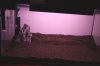 IMG_7034a.jpeg