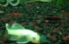 image_1349807529982951_ok.jpg