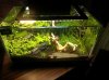 20121109_202747.jpg