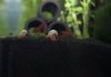 DSC_7787.jpg