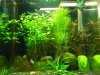 DSCN0389kl.jpg