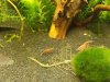 20121119_200114.jpg