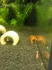 20121119_195742.jpg