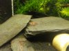 20121119_195725.jpg