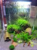 20121126_103014_PerfectlyClear_0001.jpg