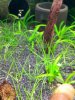 20121126_103209_PerfectlyClear_0001.jpg