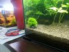 20121011_135727.jpg