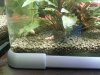 20121011_135748.jpg