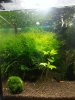 20121011_135812.jpg