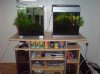 fernsehschrank.jpg