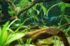 dsc_2184.jpg