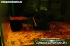 tiger_2.jpg
