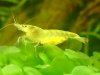 DSC00380-3.jpg