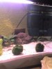 28-09-07_2124.jpg