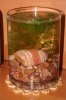 03.10.vase.jpg
