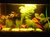 DSC00117.JPG