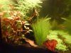 DSC00118.JPG