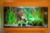 Aquarium2.jpg