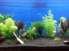 20130104_223522.jpg
