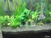 2013-01-07 22.32.55x.jpg