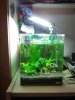 2013-01-07 22.32.44x.jpg