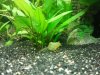 2013-01-07 22.31.57x.jpg