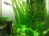 2013-01-07 01.20.53x.jpg