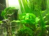 2013-01-07 01.20.45x.jpg