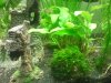 2013-01-07 01.19.56x.jpg