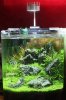 2012-10-09_Heidis Alm.jpg