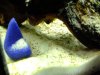 DSCF1179.jpg