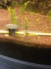 IMG_0323.JPG