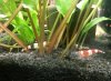 20130127_143127.jpg