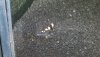 20130129_193552-1.jpg