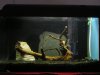 DSCN2037.JPG