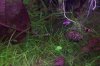 101_5354.JPG