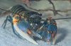 DSC_2176.jpg