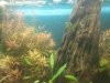 uploadfromtaptalk1360171366335.jpg