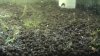 00016.MTS_snapshot_00.31_[2013.02.14_13.18.47].jpg