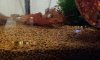 2013-02-18 10.49.34.jpg