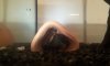 2013-02-18 11.00.38.jpg