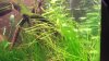 DSCF0508.JPG
