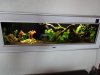 DSC00451.JPG