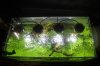 led3.jpg