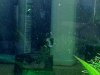 WP_20130314_016.jpg
