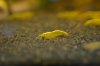 DSC_0491.JPG