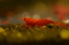 DSC_0494.JPG