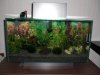 Aquarium.JPG