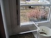 IMG_2225.jpg
