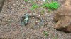 K800_2013-03-12 16.57.00.JPG
